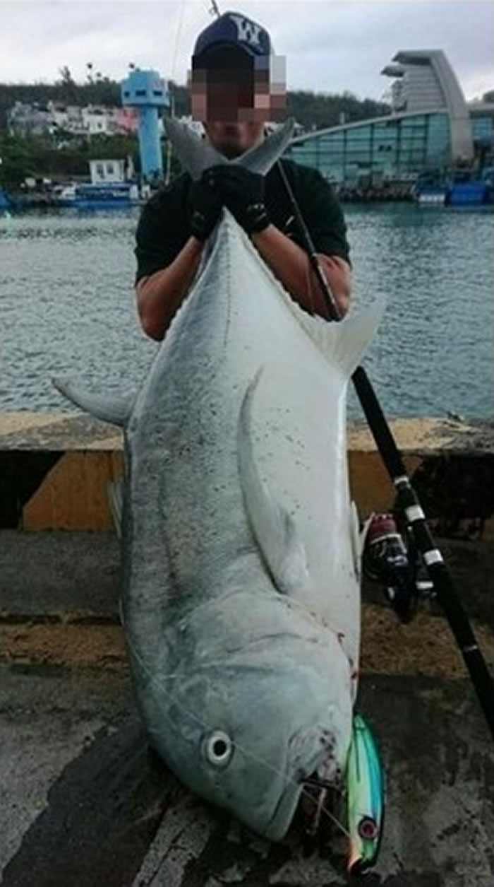 ں34kgţ׽ˣǰ顣ͼԺ㴺뵺ţ