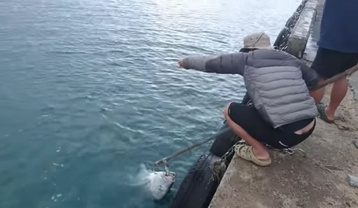 ںǡţΥPOӰƬͼYEN CHEN Shih youtube