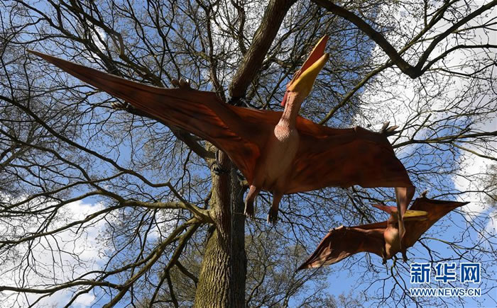 Ӣ���׶ذ�˹������԰���ٰ조٪�޼���������������ģ��չ