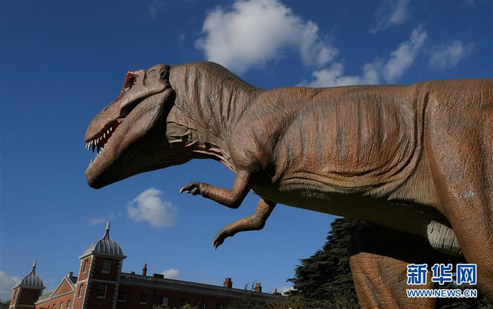 Ӣ���׶ذ�˹������԰���ٰ조٪�޼���������������ģ��չ