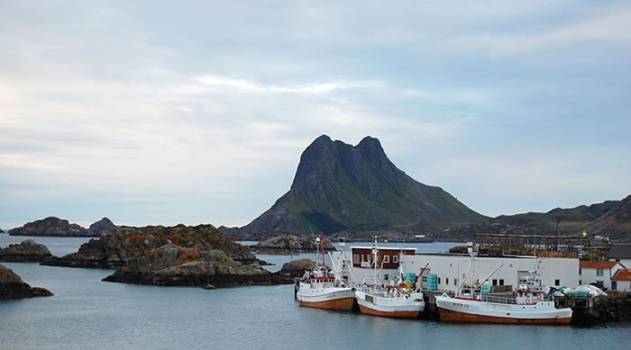 Ų����һƬ��������չ�������ڡ�