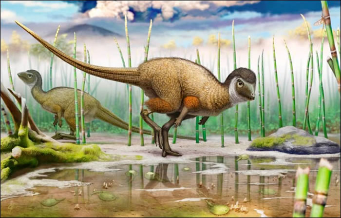 �¼�˵��ս��������������෽��