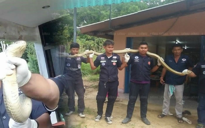 ̩��������������������û������ ȴ����һ��5.4���߳��ƽ��۾�����