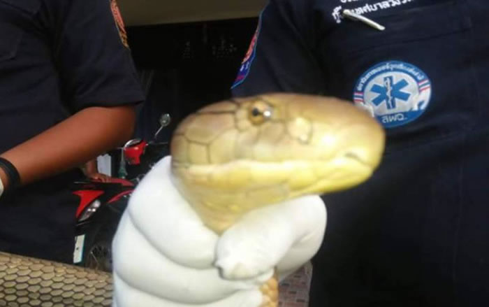 ̩��������������������û������ ȴ����һ��5.4���߳��ƽ��۾�����