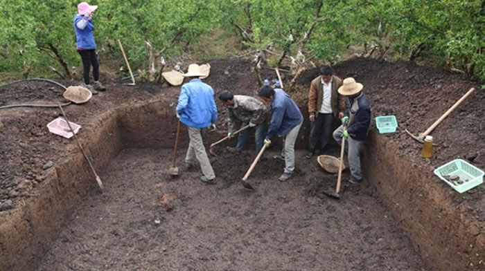 �Ĵ���ɽ�������ֹ�������ַ����ʯ�������ܺʹ���ʱ�����ν�