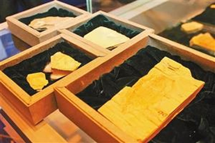 澄江古生物化石。本报记者 雷桐苏 摄