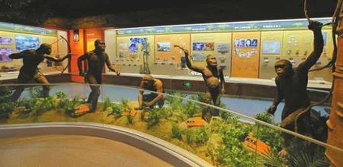 北京自然博物馆《人之由来》展厅。