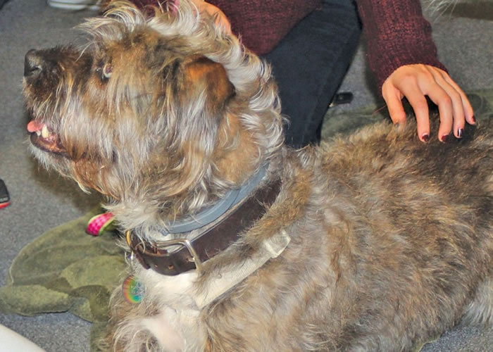 ��ҽ�������˴���ֻȥ��������ע�䡣