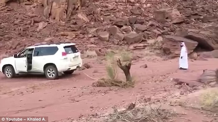 �ж�����������β�������� ľ��Ͽ�ײ�鳵β����