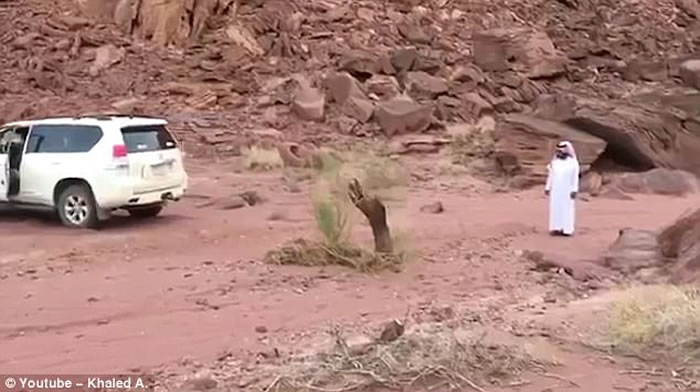 �ж�����������β�������� ľ��Ͽ�ײ�鳵β����