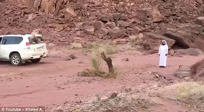 �ж�����������β�������� ľ��Ͽ�ײ�鳵β����