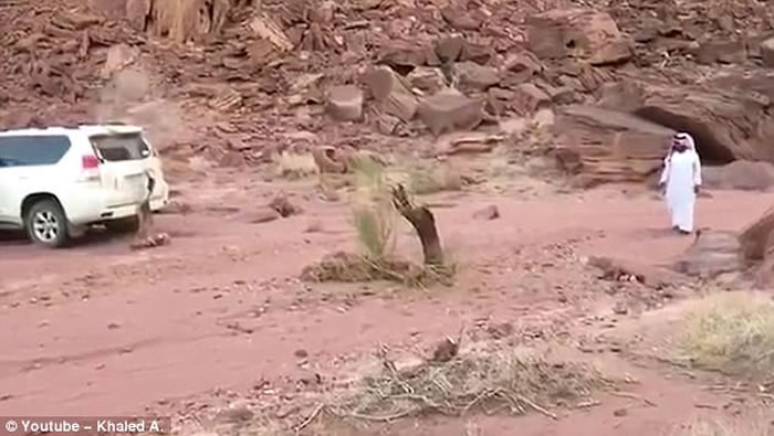 �ж�����������β�������� ľ��Ͽ�ײ�鳵β����