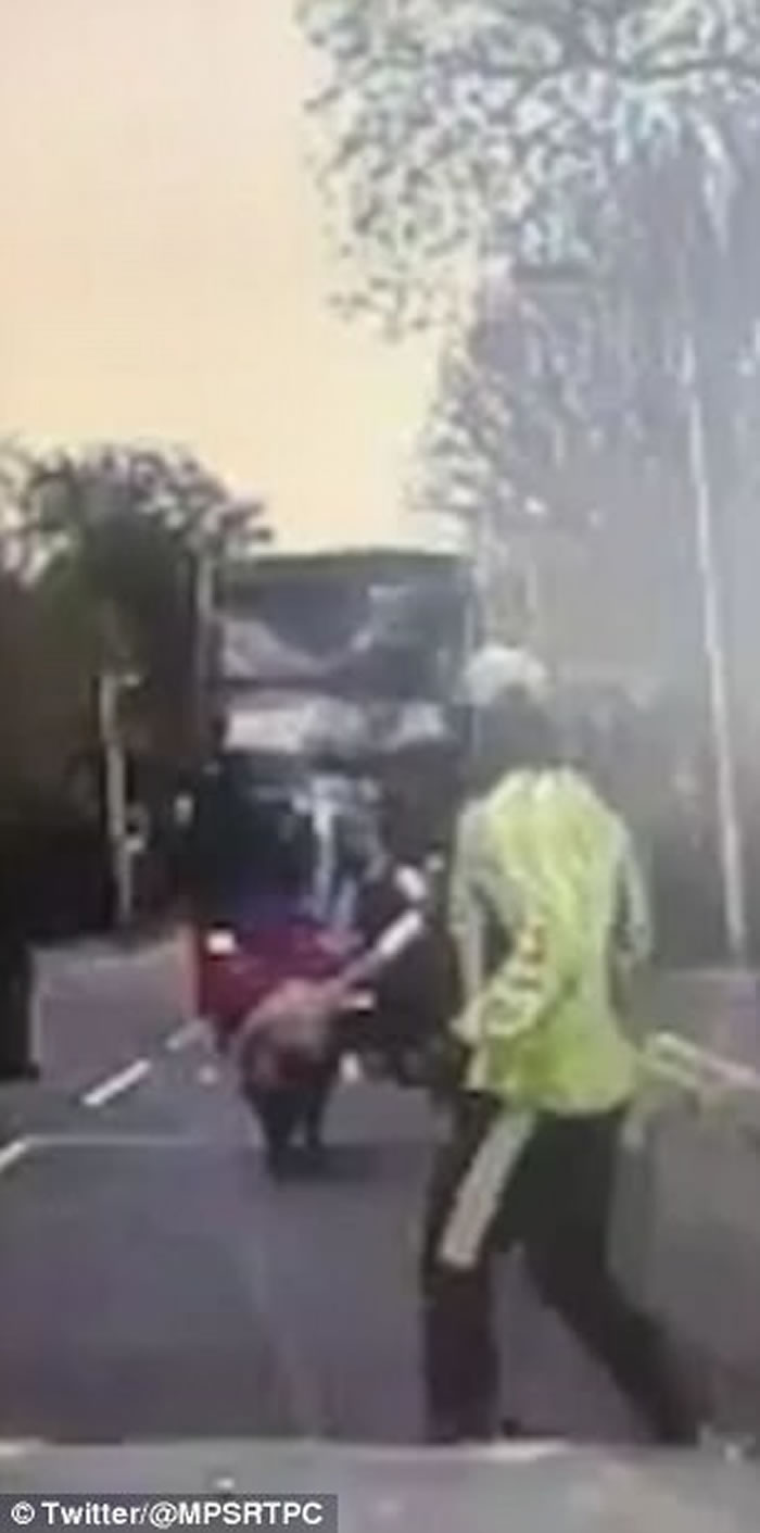 Ӣ���׶ؽ�ͷ������ �ܲ�������Щ��ӭ��ײ��