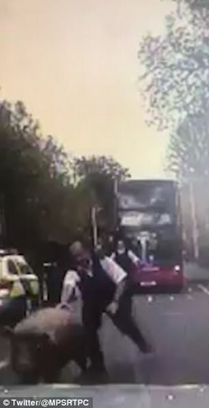 Ӣ���׶ؽ�ͷ������ �ܲ�������Щ��ӭ��ײ��