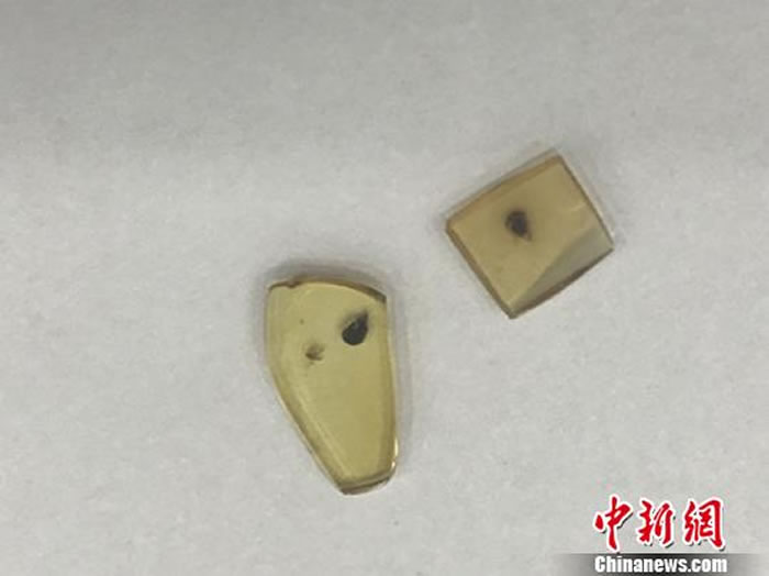 ˴оİѼꡣкɫΪG͡