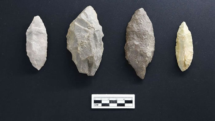 2016年度全国十大考古新发现:宁夏青铜峡鸽子山遗址再现贺兰山下古人类生息劳作场景