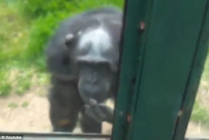 Ӣ������ʿɽ����԰�����ɴ�����ʾ�������æ�򿪴��������ػ�����