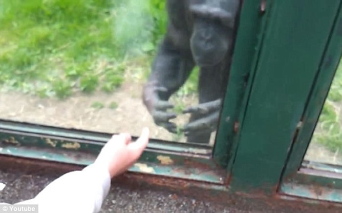 Ӣ������ʿɽ����԰�����ɴ�����ʾ�������æ�򿪴��������ػ�����