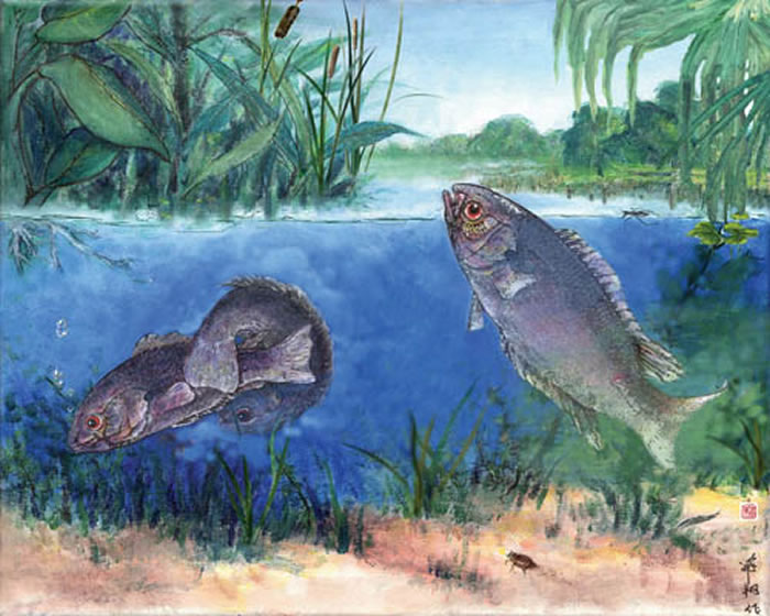 ����ʼ���Լ���������ԭͼ�����������ڣ����Լ2ǧ6������ǰ�������ظ�����������ůʪ��ĵ͵أ�������������ԭ�ڲ���ȫ��ͬ�Ļ�������̬ϵͳ��������蹩ͼ��