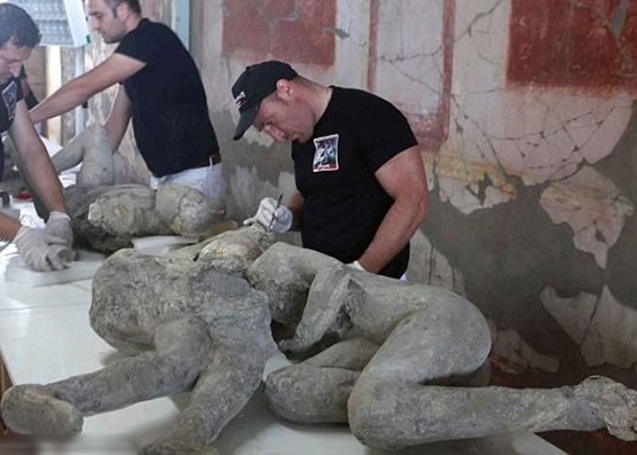 研究团队从遗体上仔细取出纤维组织作化验分析。