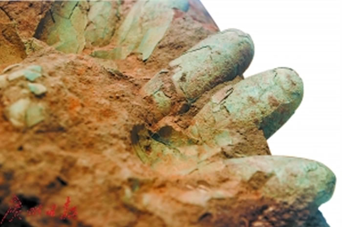 30年前,南海桂城平洲发现的恐龙蛋化石。