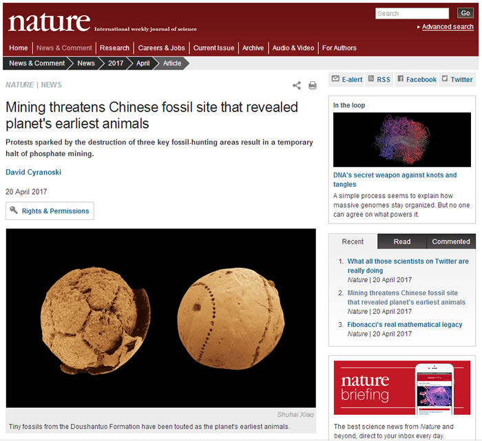 英国《自然》杂志关注瓮安生物群化石保护