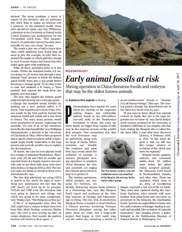 美国《科学》杂志关注瓮安生物群化石保护