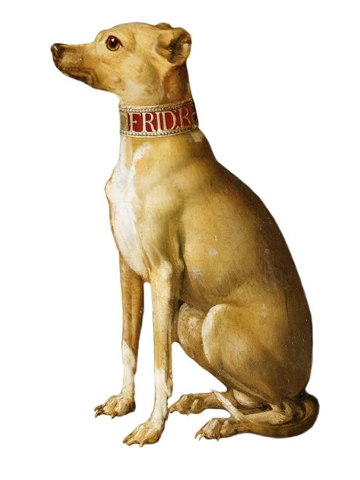 腓特烈爱犬成痴,据说他最先称他的一只格雷伊猎犬为「人类最好的朋友」;这个称呼最早出现在一本1789年的传记,此时他已经过世。腓特烈想要被葬在无忧宫,伴着他的狗儿