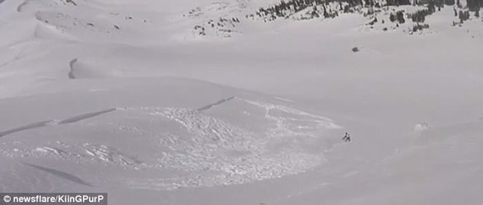 �������������ݻ�ѩ������ѩ����������