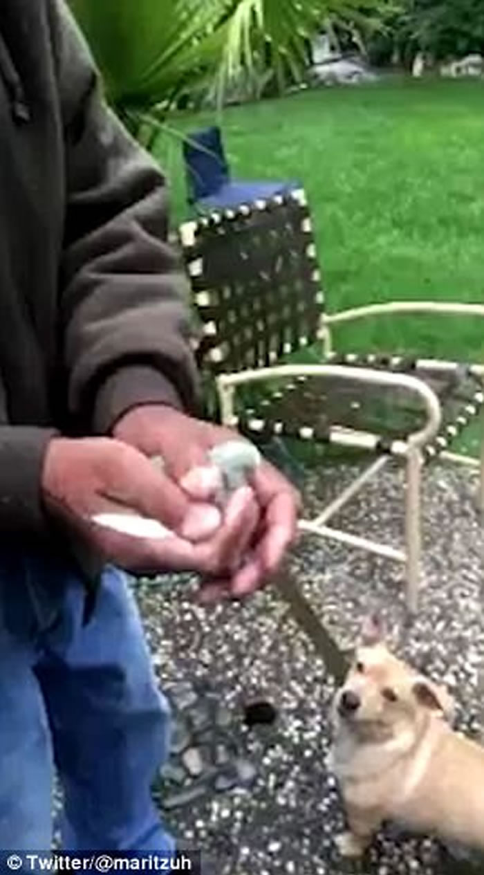 ī�����ͥ���ķ���С�� �����ﹷһ��ҧ��