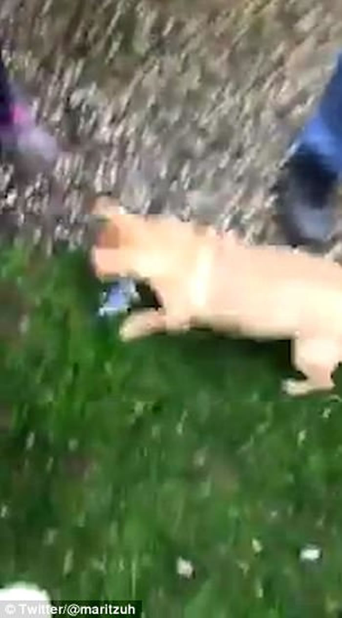 ī�����ͥ���ķ���С�� �����ﹷһ��ҧ��