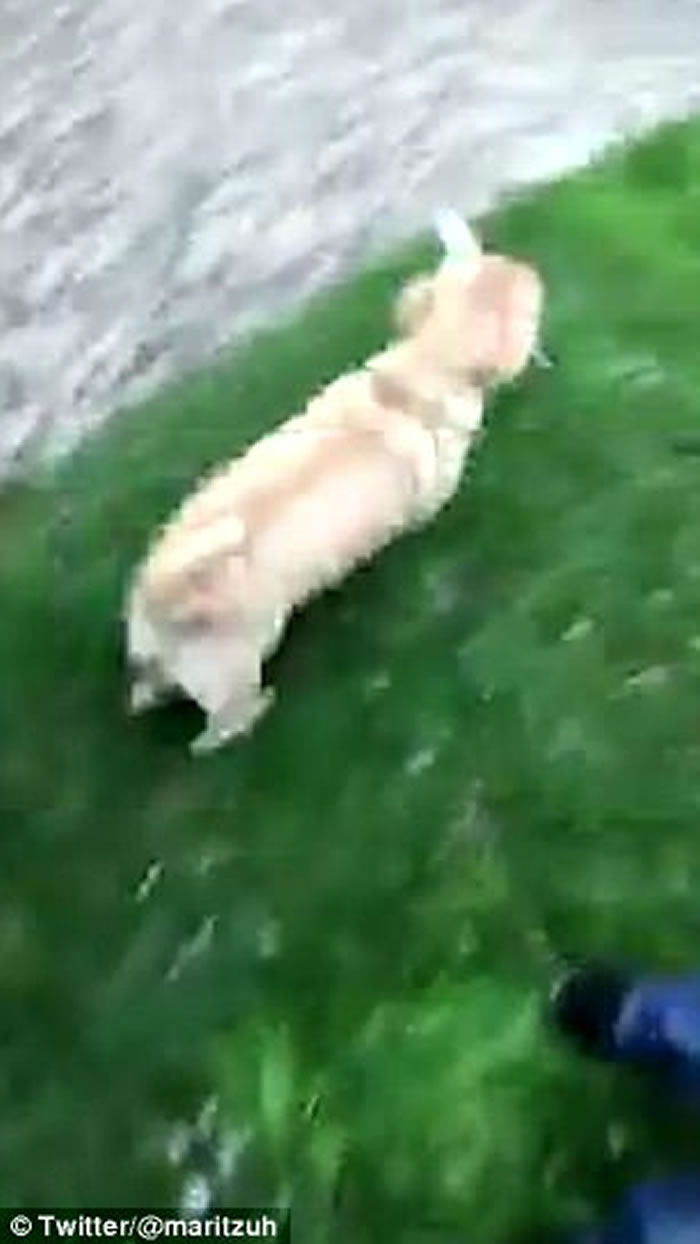 ī�����ͥ���ķ���С�� �����ﹷһ��ҧ��