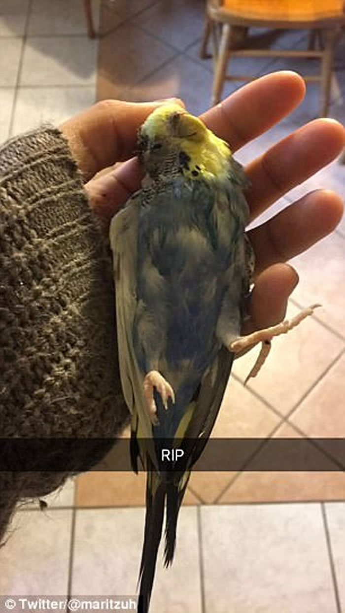 ī�����ͥ���ķ���С�� �����ﹷһ��ҧ��