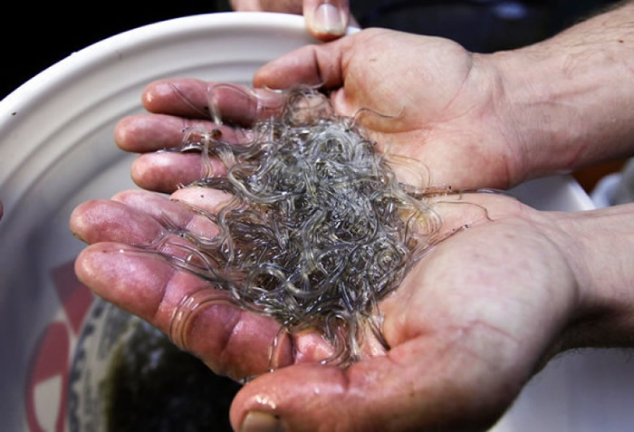 ��������������������ͼƬ��