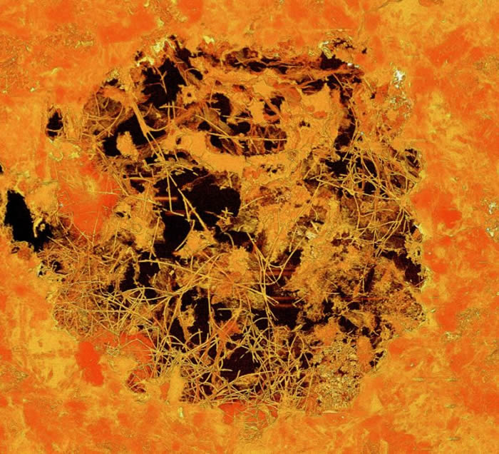 南非Ongeluk组发现24亿年前真菌