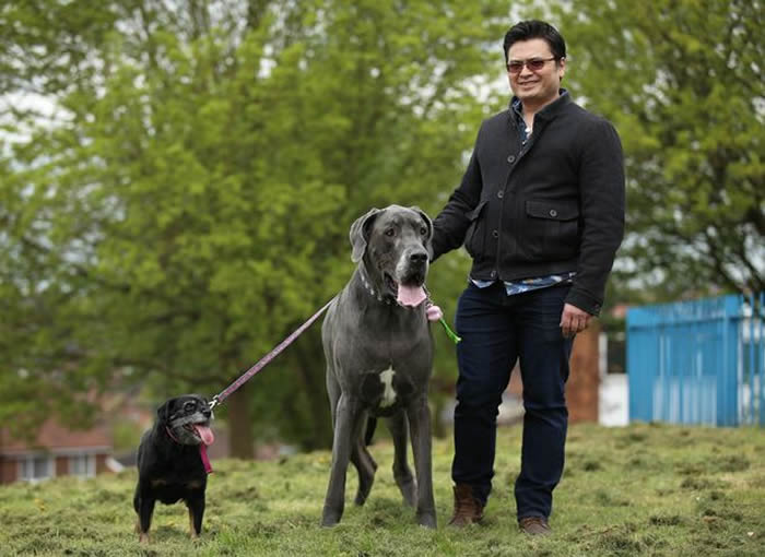 Ӣ��ŵ������210���ִ�Ȯ����֣�Gedling������С��