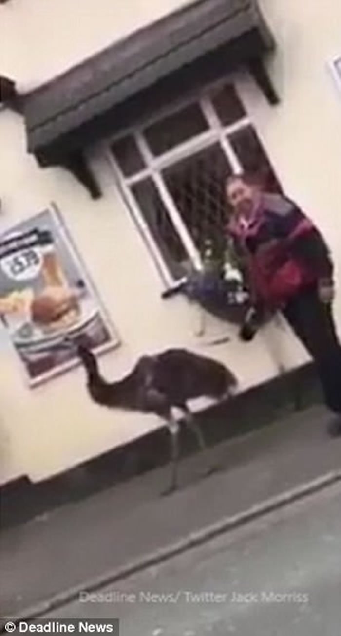 Ӣ�����������ڴ��������ŵ����� �ֿ���̸������ϧ