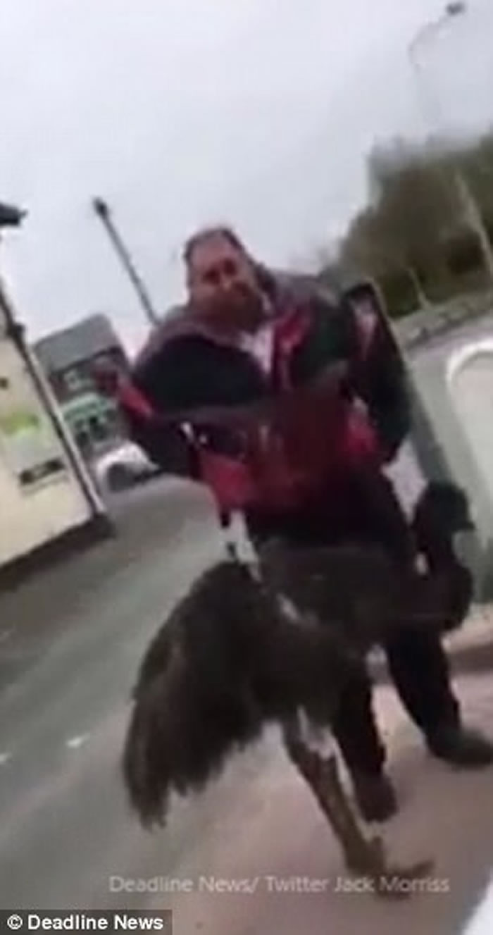 Ӣ�����������ڴ��������ŵ����� �ֿ���̸������ϧ