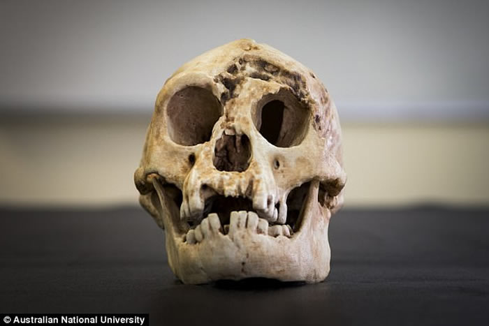 人类进化史最新研究推测在印尼弗洛勒斯洞穴发现的弗洛勒斯人或属最古老人种