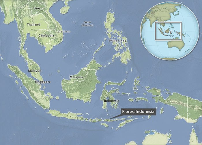 人类进化史最新研究推测在印尼弗洛勒斯洞穴发现的弗洛勒斯人或属最古老人种