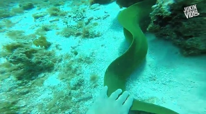 ǱˮԱ���׽�����͵������ תͷ�������󶴿�̽��ͷ��