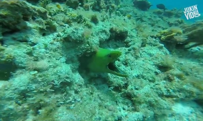 ǱˮԱ���׽�����͵������ תͷ�������󶴿�̽��ͷ��