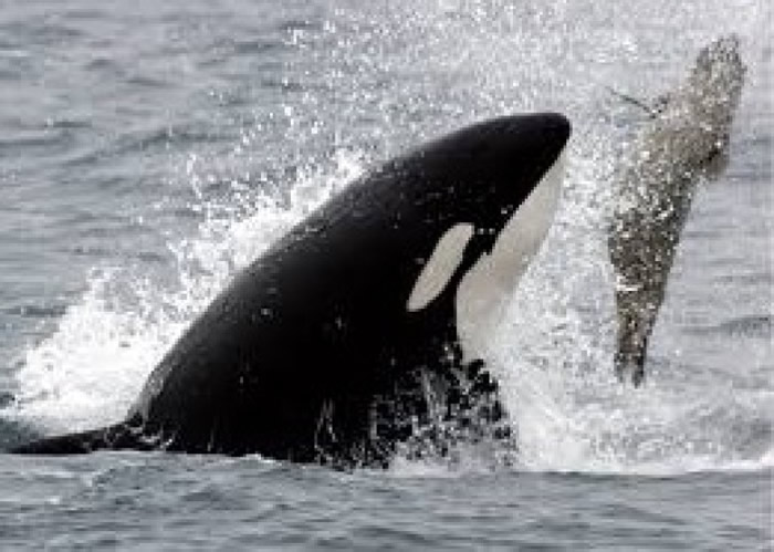 ⹫԰ڵľ㷱ֳĿܾ顣ͼƬ