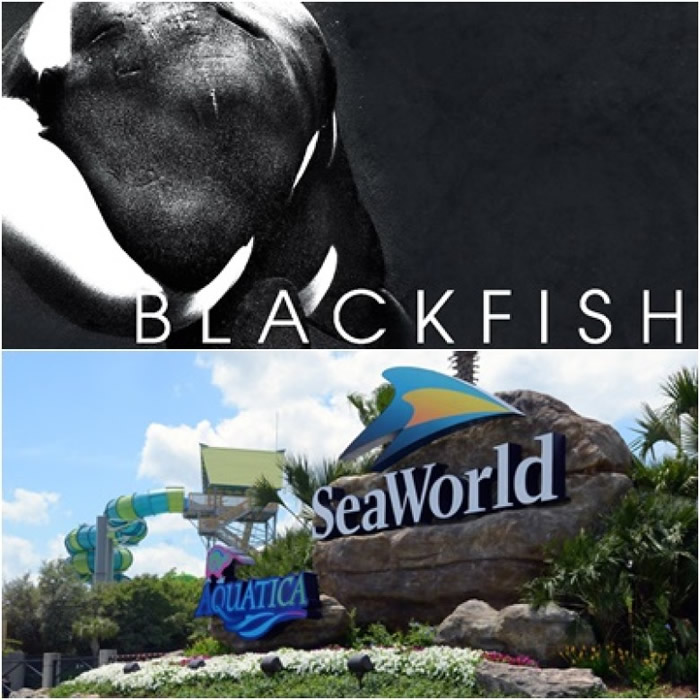 ͼΪ2013꡶ھ¼ƬӰͼƬ