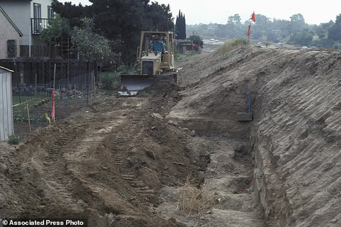 乳齿象骨骼打击痕迹或证明13万年前美洲大陆已有人类存在