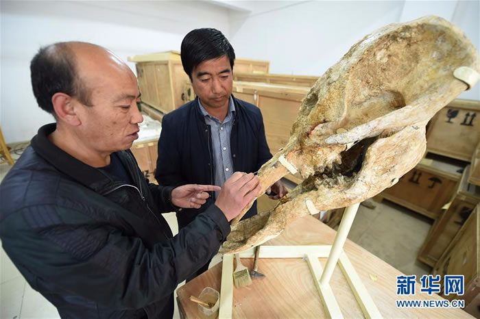 428գڸŶﻯʯ޸ң޸Աڣ󣩡޸Ŷﻯʯ