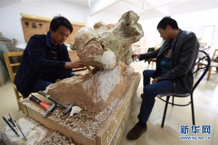 428գڸŶﻯʯ޸ң޸Ա󣩡ż޸Ŷﻯʯ