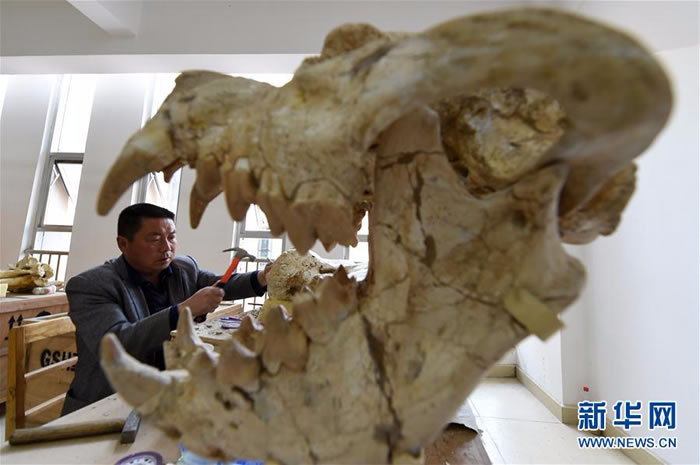 428գڸŶﻯʯ޸ң޸Առ޸Ŷﻯʯ