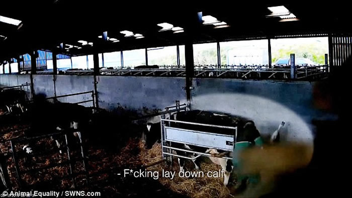 Ӣ����Ĭ���ؿ�19��ũ��ѧͽ��Ϊʧ������ţ����Ѫ����