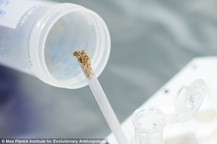 洞穴考古遗址沉积物中发现史前时代人类DNA